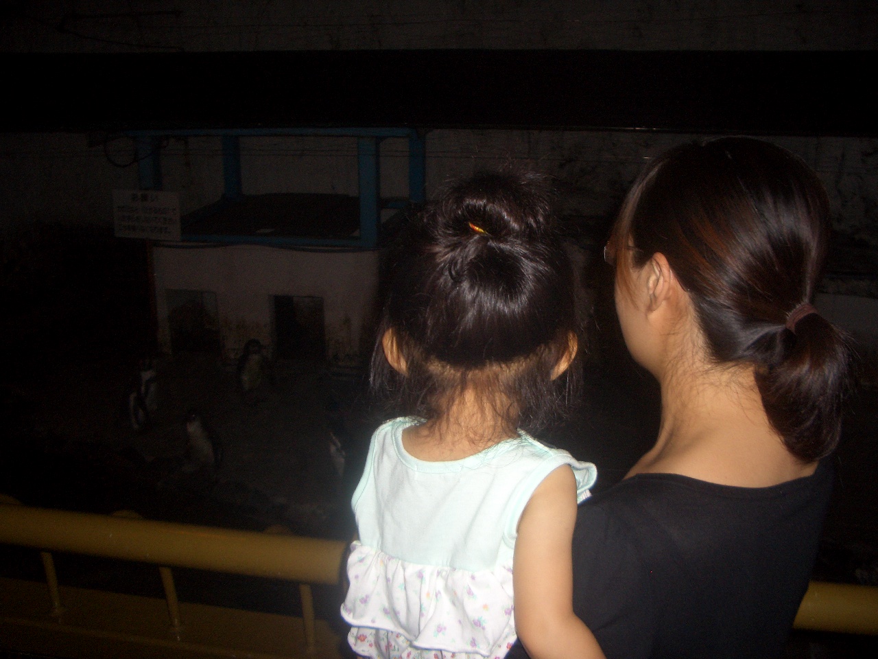 c0037419_1632448.jpg