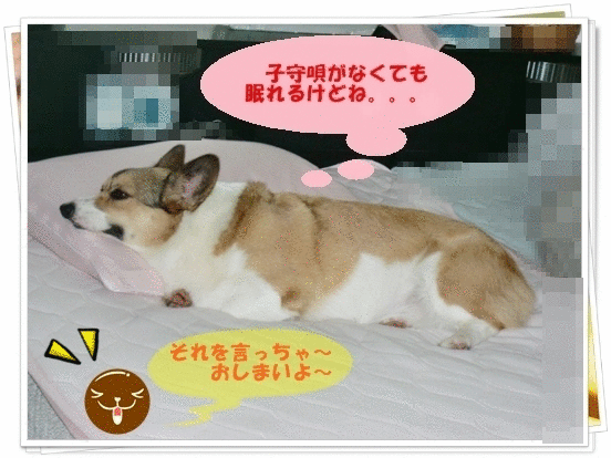 f0182121_20123890.gif