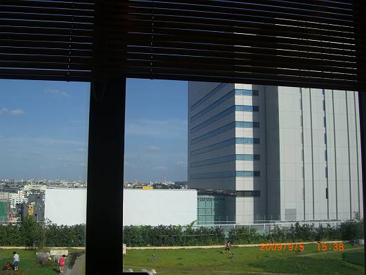 d0065324_19274081.jpg