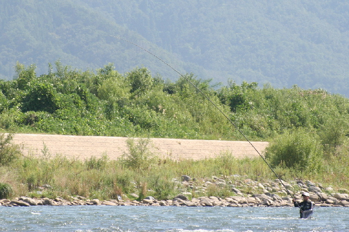 f0103126_23504471.jpg