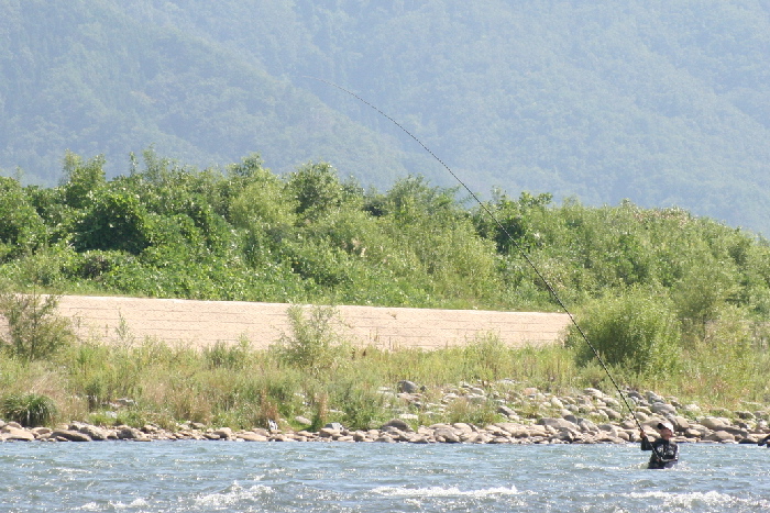 f0103126_23505874.jpg