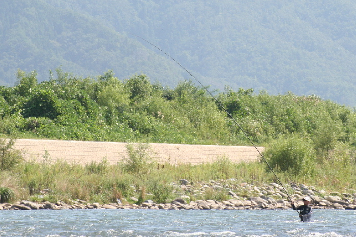 f0103126_23511166.jpg