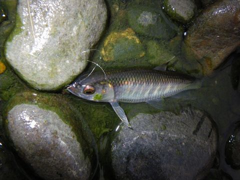 c0202727_7224625.jpg