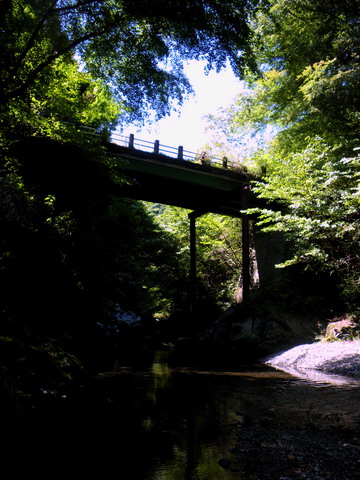 c0202727_7271322.jpg