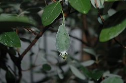 a0017634_17553230.jpg