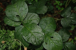 a0017634_180122.jpg