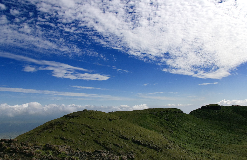 d0136836_1346263.jpg