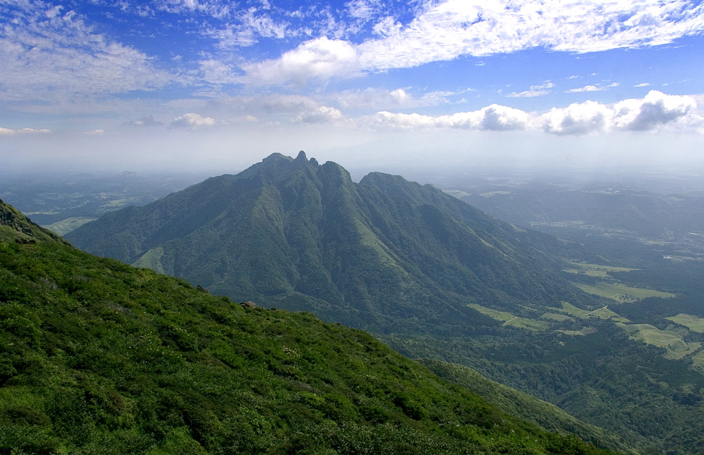 d0136836_13474325.jpg