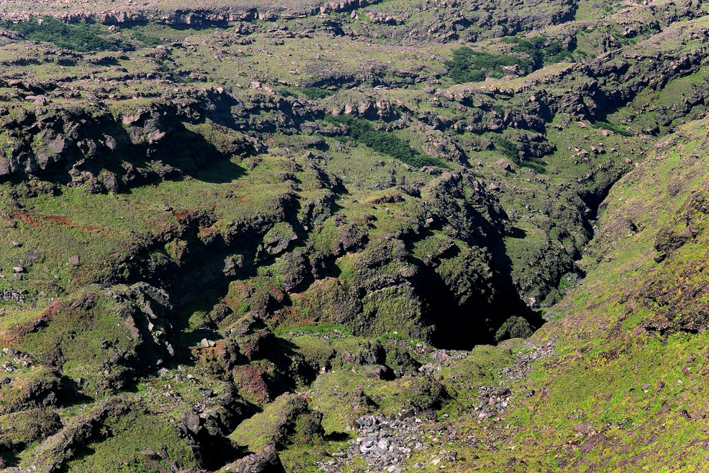 d0136836_13483638.jpg
