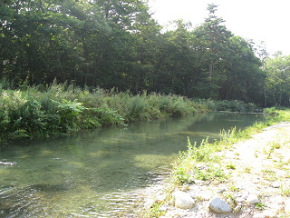 f0065341_23532812.jpg