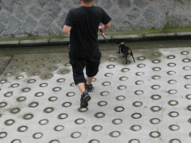 e0150843_048324.jpg