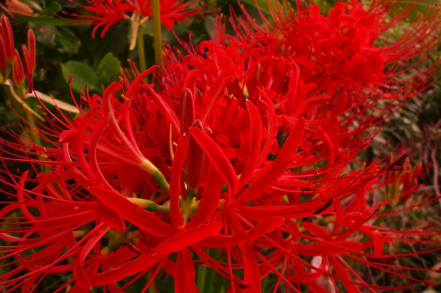 c0122445_1753188.jpg