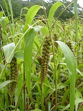 b0157246_21321597.jpg