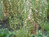 b0157246_2136253.jpg