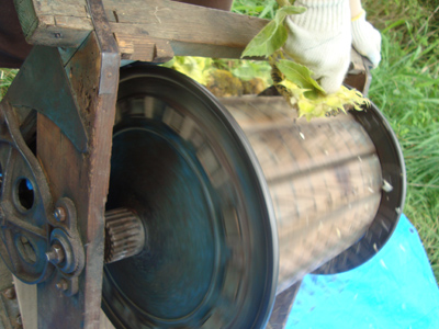e0143347_16134073.jpg