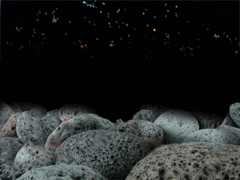 e0005548_21394424.gif