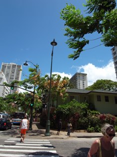 e0046348_1752921.jpg