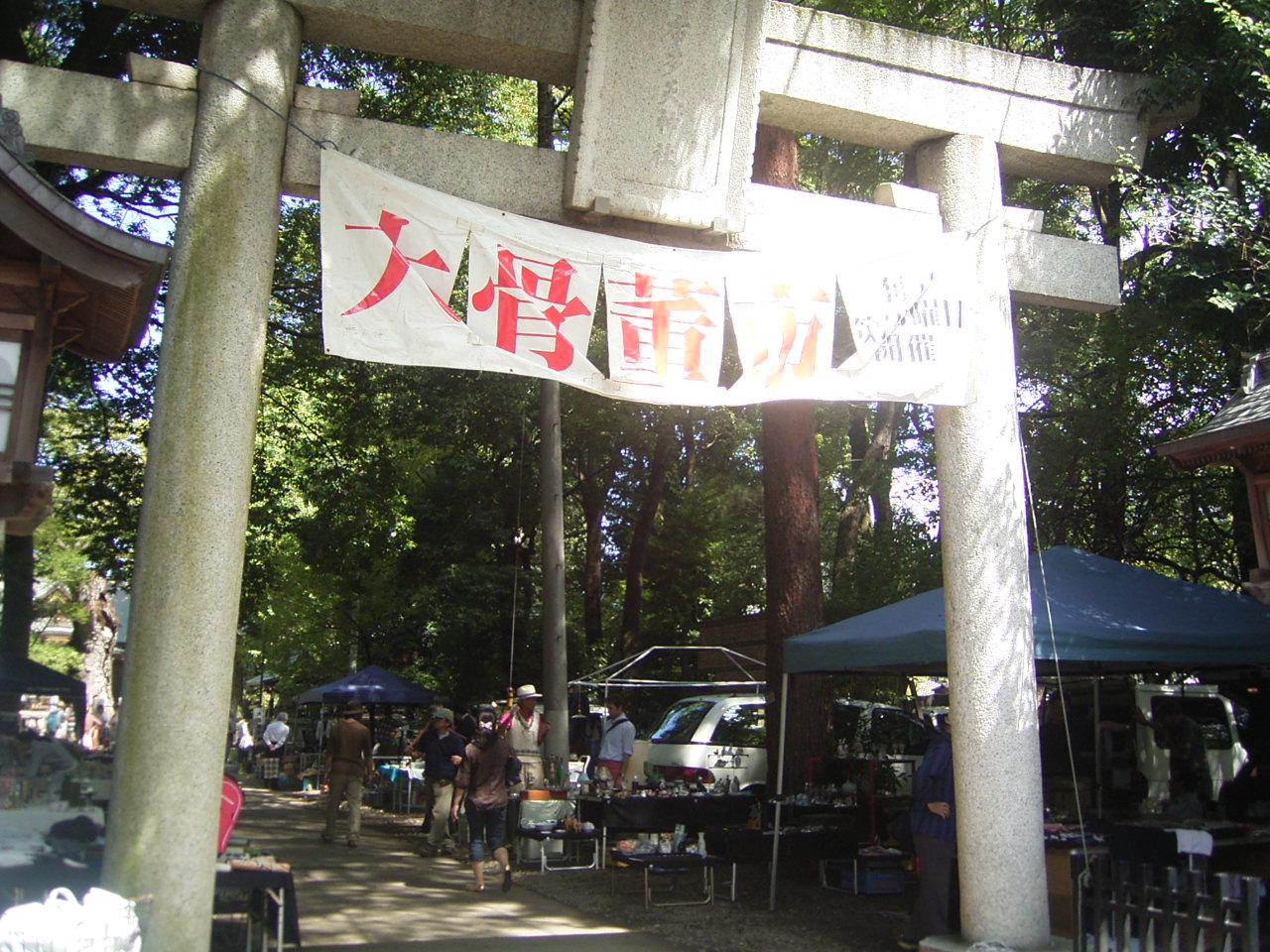 b0146451_195510.jpg