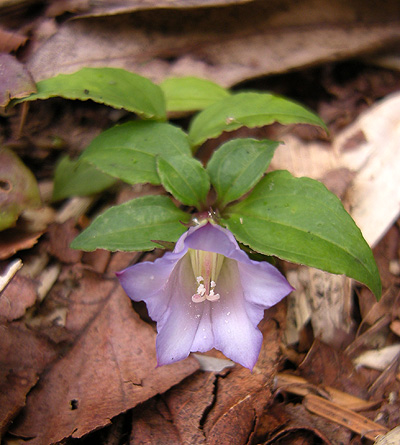 a0001354_211438100.jpg