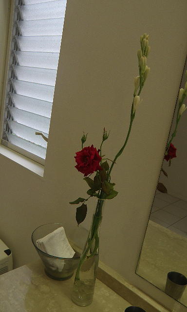 e0184558_912493.jpg