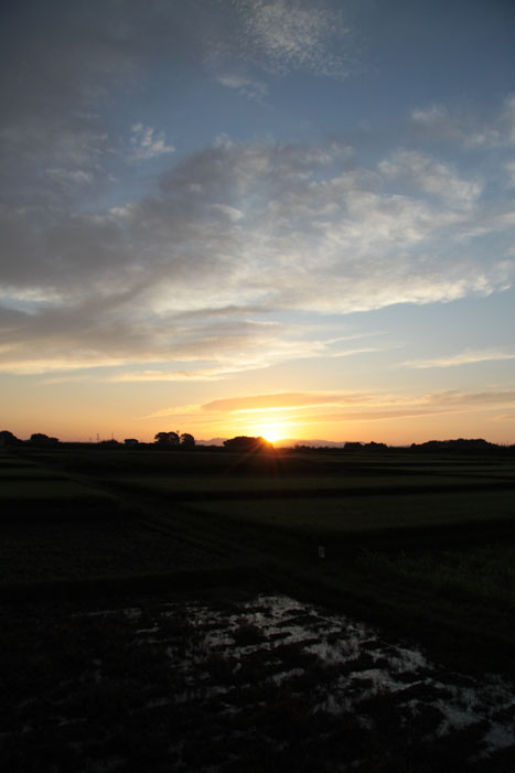 c0202860_7404476.jpg