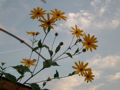 c0186463_102085.jpg
