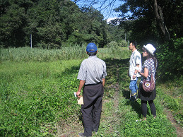 c0073564_946894.jpg