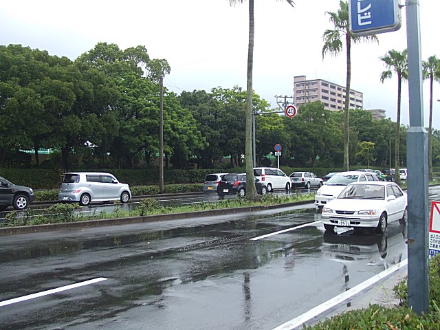 a0015766_011646.jpg