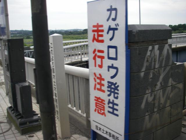 b0024266_2244022.jpg