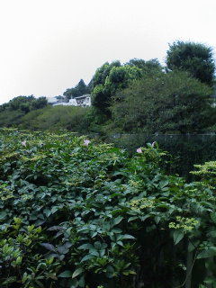 f0112873_439141.jpg