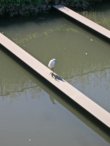 e0112077_221666.jpg