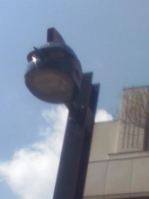 a0137681_21335184.jpg