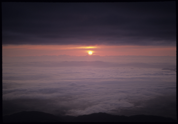 a0053783_22142437.jpg