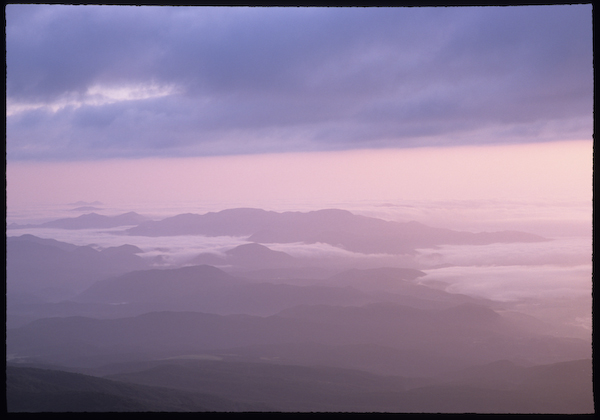 a0053783_22264566.jpg