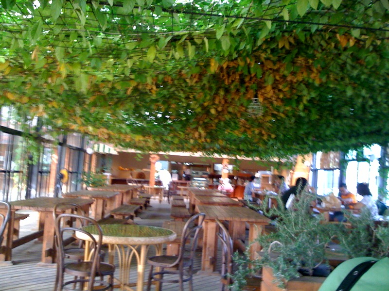 d0044986_7253644.jpg