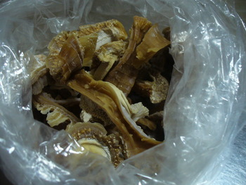 e0026586_223834100.jpg