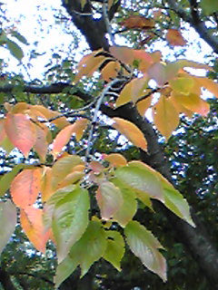 d0119487_10501975.jpg