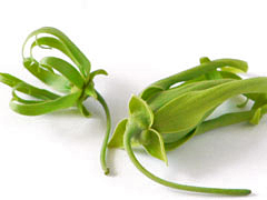 f0077789_1635672.jpg