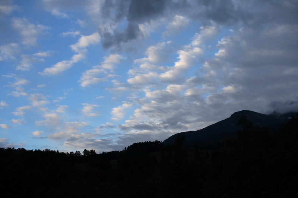 c0040891_12621.jpg