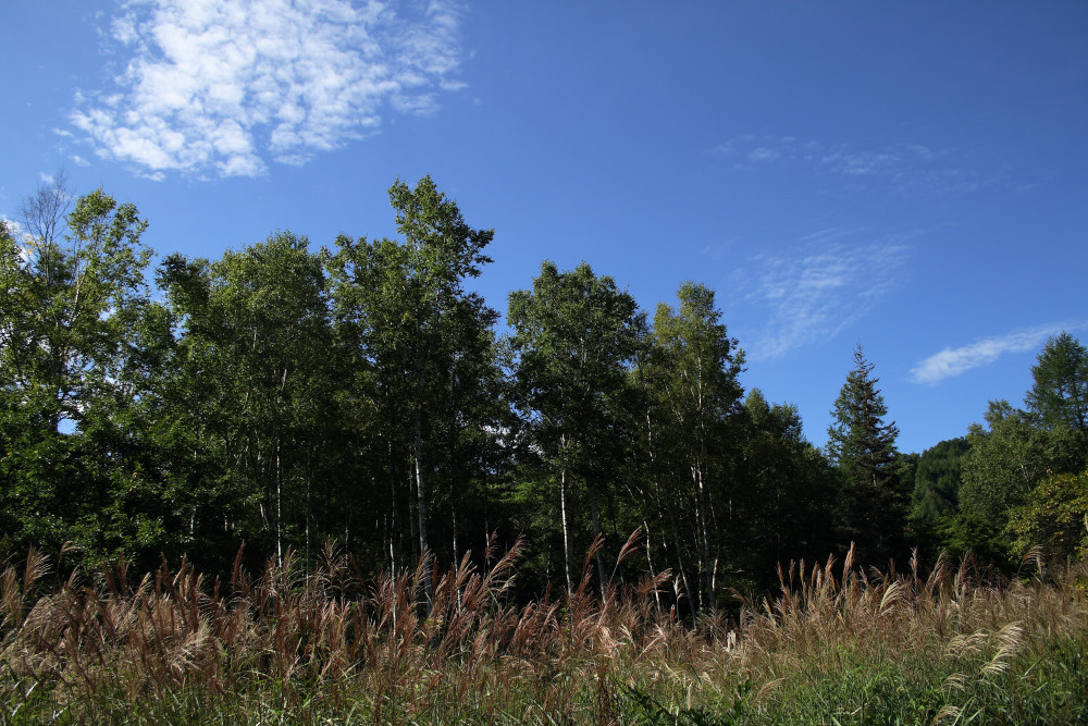 c0040891_1312466.jpg