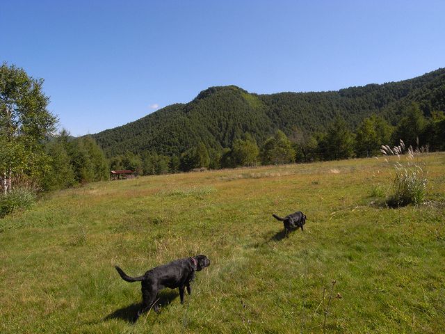 a0093592_22495727.jpg