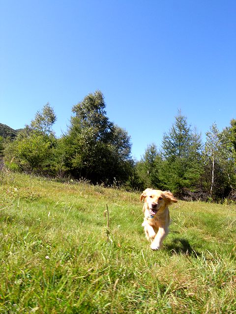 a0093592_22521231.jpg