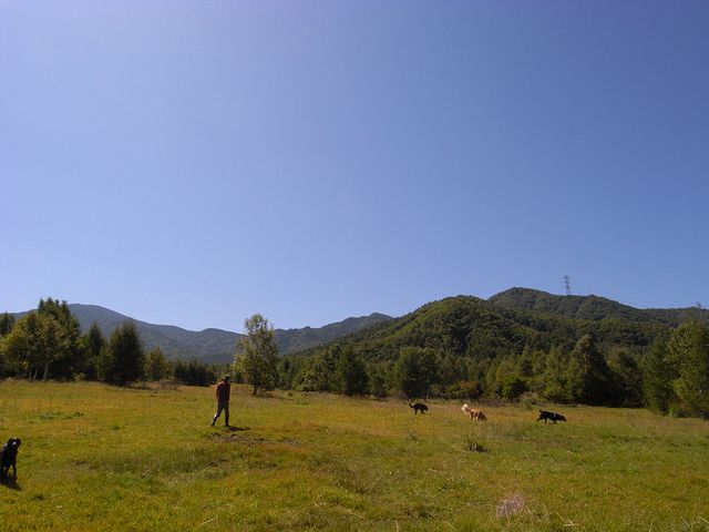 a0093592_23195125.jpg