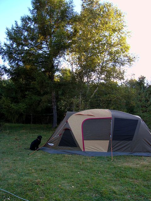 a0093592_23334791.jpg