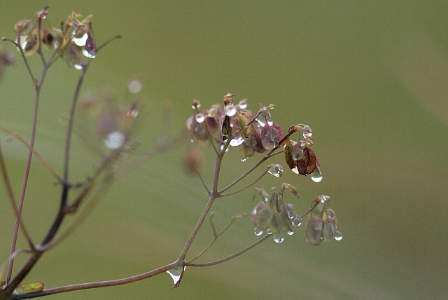 d0133693_20561736.jpg