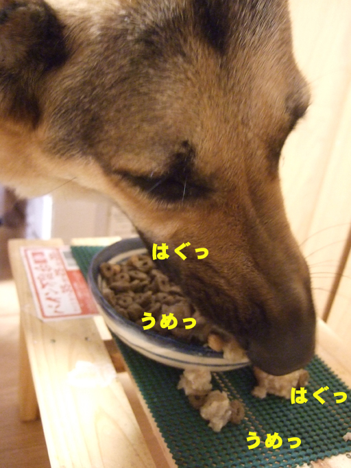 e0060693_23185166.jpg