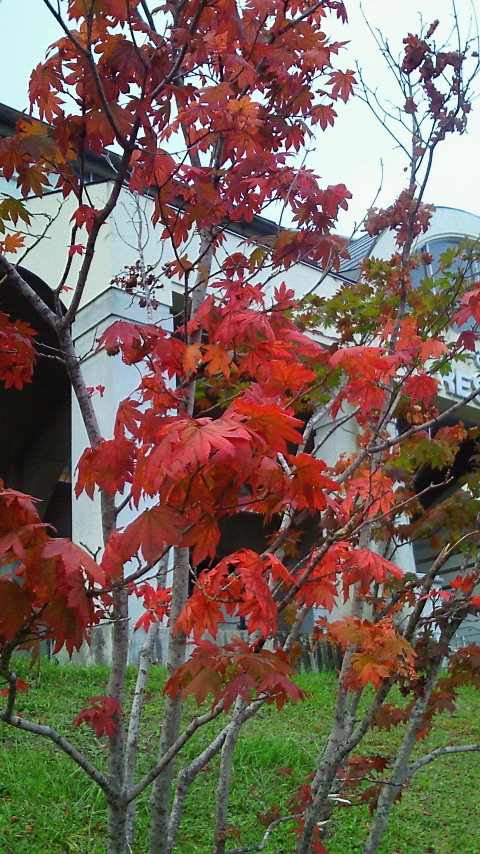 b0189996_11241599.jpg