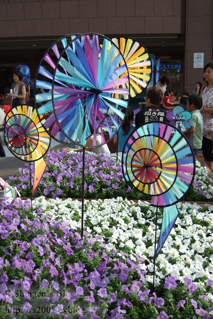 c0025498_1244018.jpg