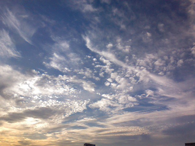 a0031000_23262610.jpg