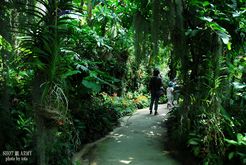 d0085501_2243690.jpg